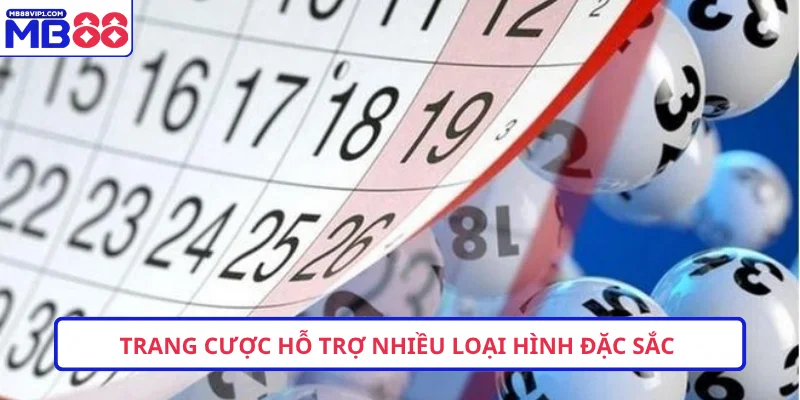 Trang cược hỗ trợ nhiều loại hình đặc sắc